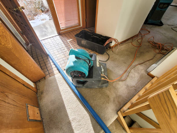 Best 24/7 water damage repair  in Kinder, LA