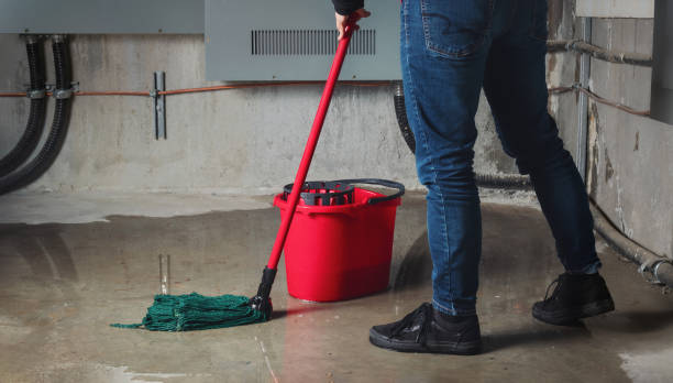Best Water damage cleanup near me  in Kinder, LA
