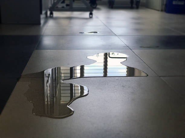 Best Professional water damage repair  in Kinder, LA