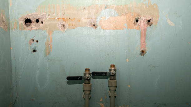 Best Flood restoration services  in Kinder, LA