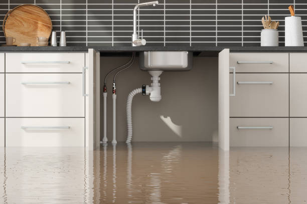 Best Water damage restoration insurance claims  in Kinder, LA