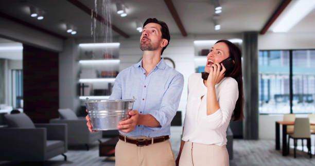 Best Water damage contractors near me  in Kinder, LA